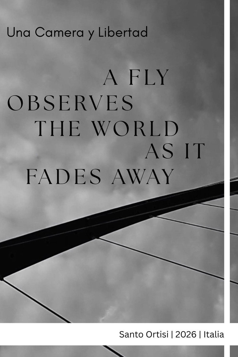 A fly observes the world as it fades away