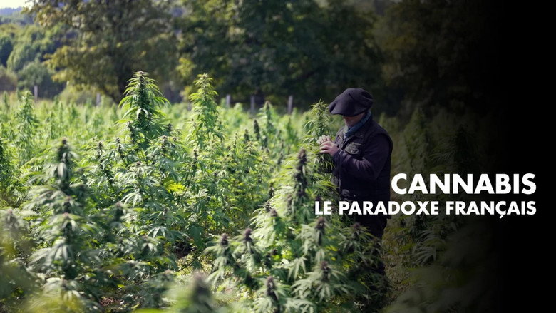 Gallery image from cHvoefs8YwFofdFo6mhzhvNRM1O.jpg