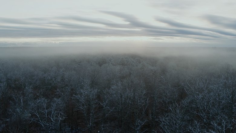 Still image for Ambient Swim season 1 episode 5: Relaxing Old Footage with Joe Pera
