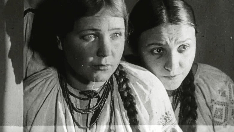 Still from About Pan Lebedenko