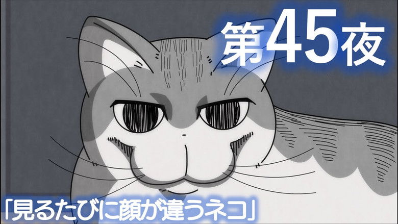 Still image for Nights with a Cat season 1 episode 45: Night 45: A Cat Whose Face Changes Every Time You Look