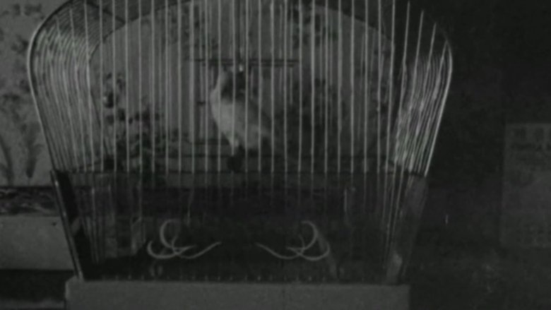 Gallery image from cIPw0x0aEAMGCivx9O8JKg046yG.jpg