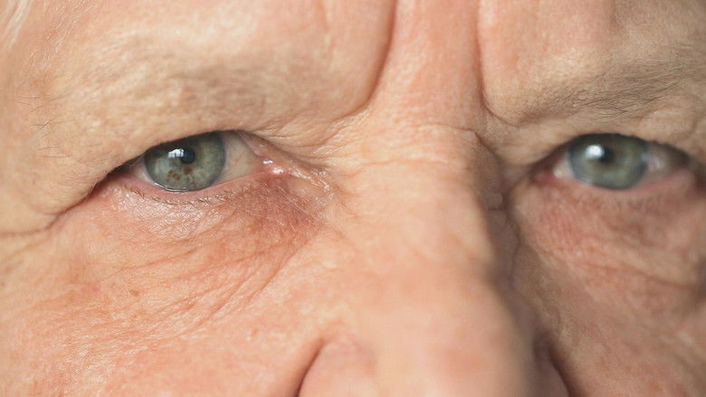 Still image for Life 2.0 season 1 episode 8: Mastering Memory