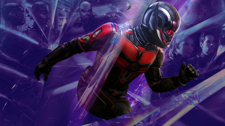 Backdrop de Ant-Man - Col·lecció