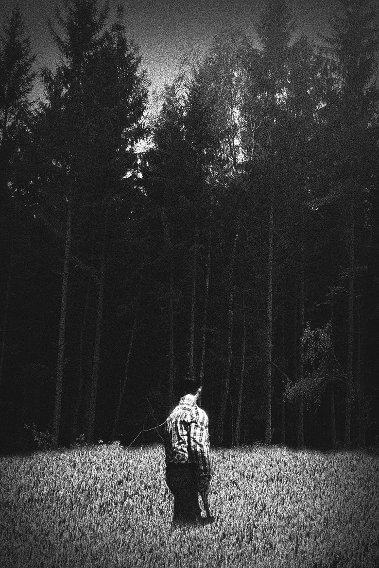 Imatge de No One in the Woods