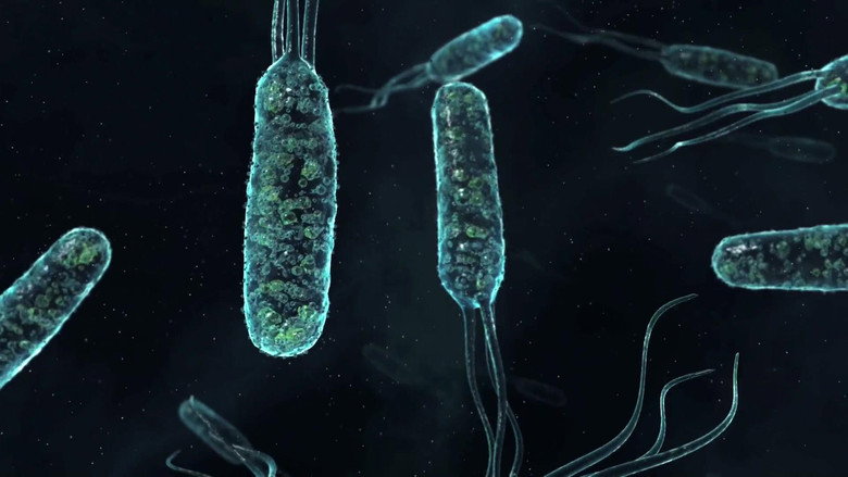 Jason Silva: Transhumanism 1