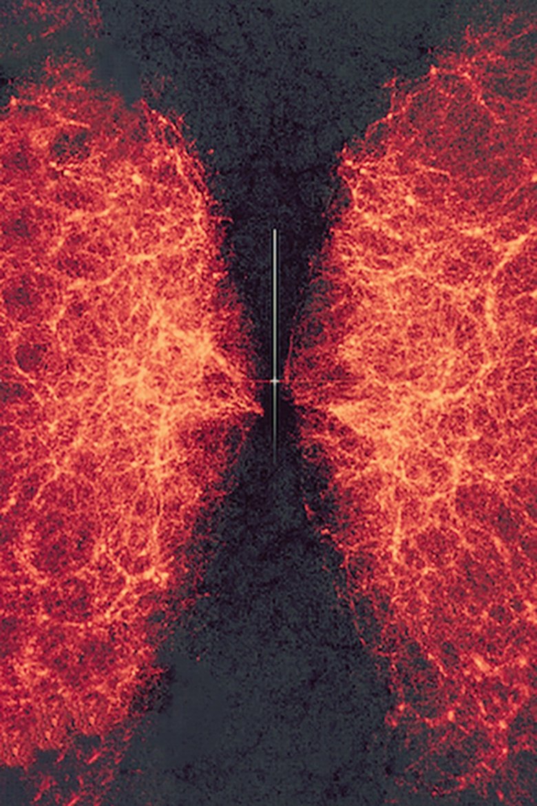 data-verse 1 poster
