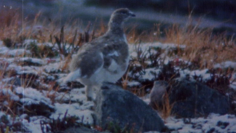 Gallery image from cK1F4rnLeDhojV4ykeYpazQIvhV.jpg