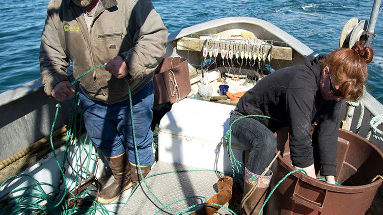 Still image for Port Protection Alaska season 1 episode 7: Broken Lines Still image for Port Protection Alaska season 1 episode 7: Broken Lines