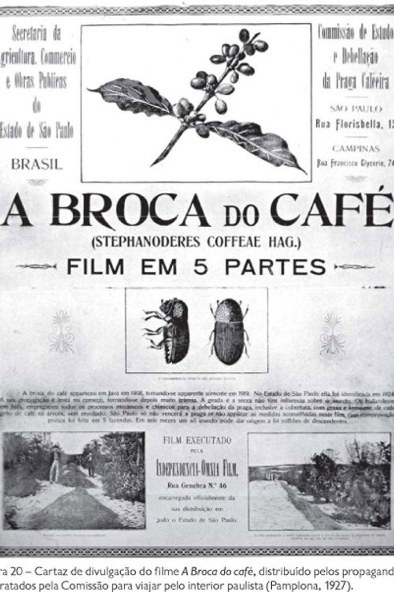 A Broca do Café background