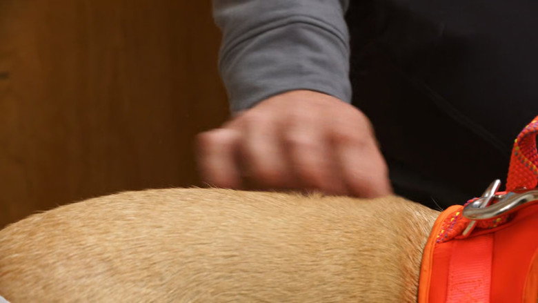 Still from The Incredible Dr. Pol - Season 24 Episode 10