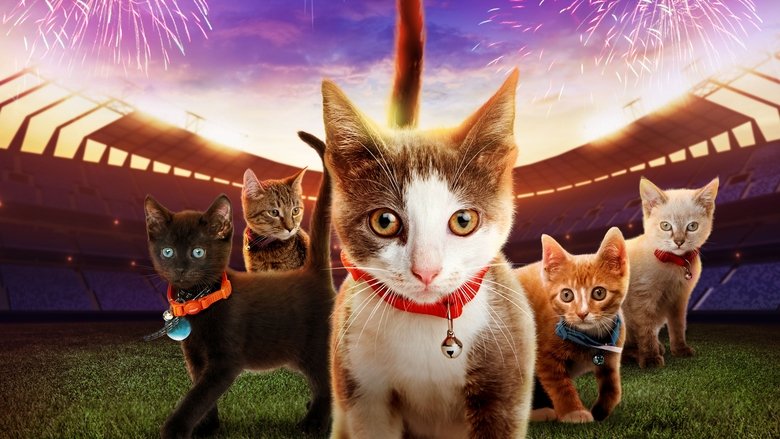 Kitten Bowl VII main backdrop