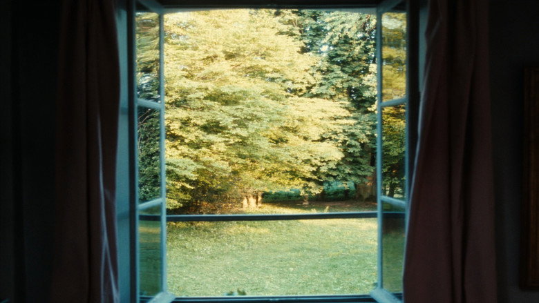 Film backdrop