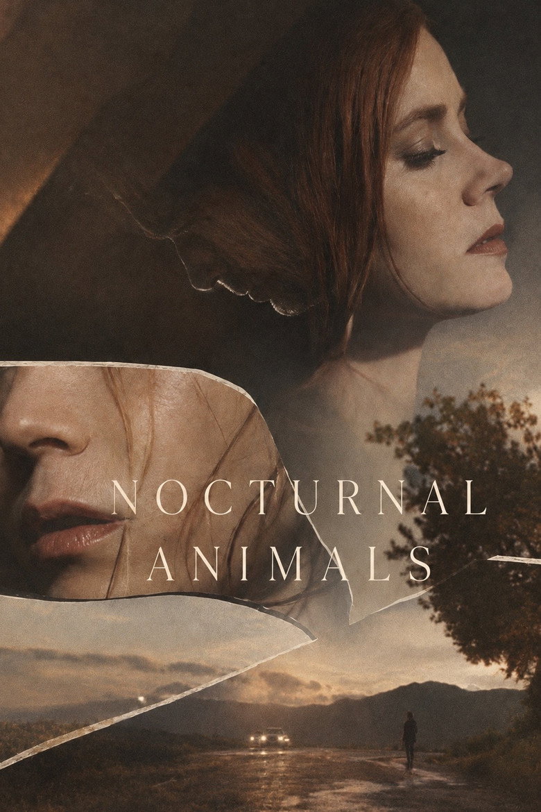 Imatge de Animals nocturns
