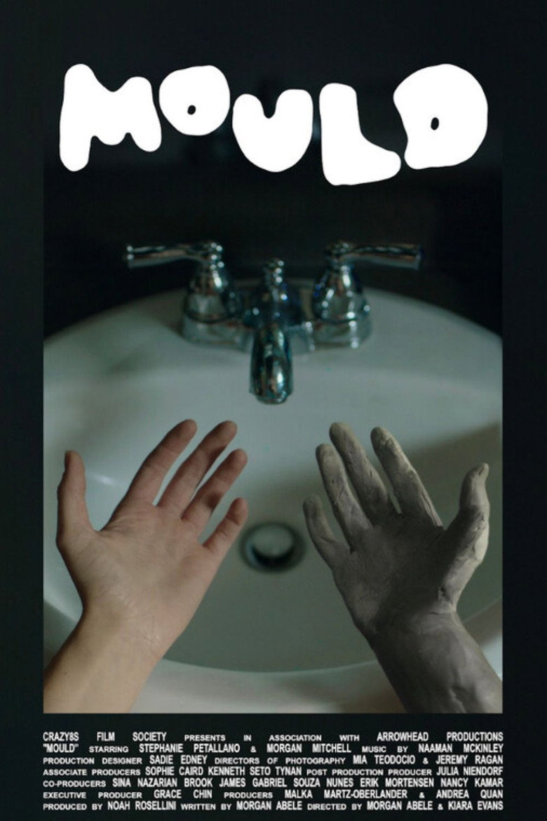 Imatge de Mould