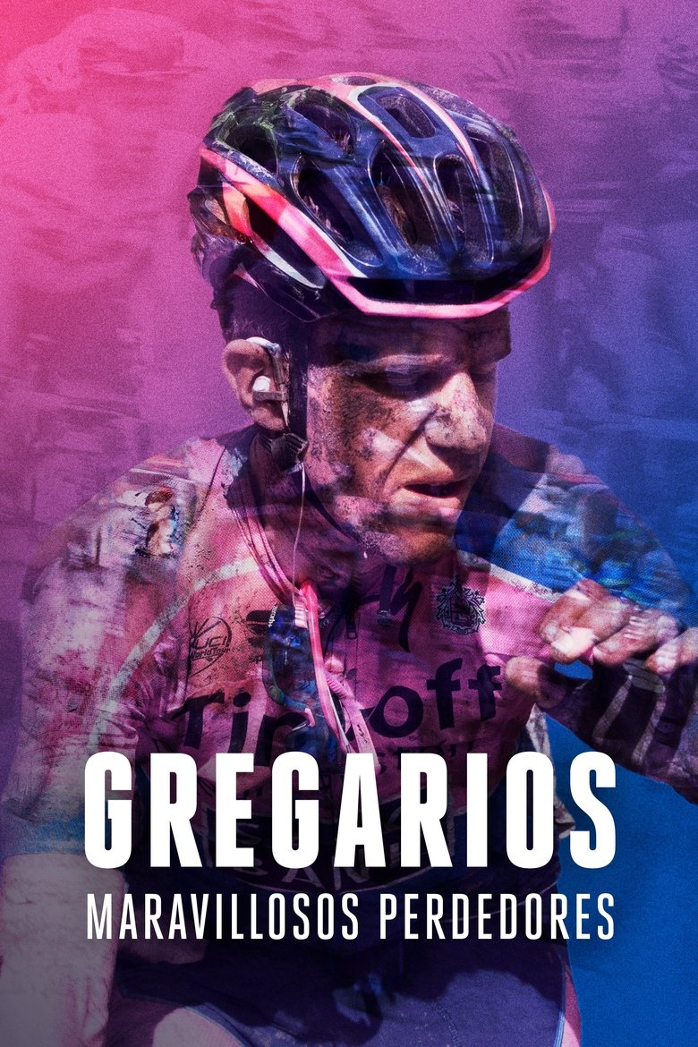 Gregarios, maravillosos perdedores