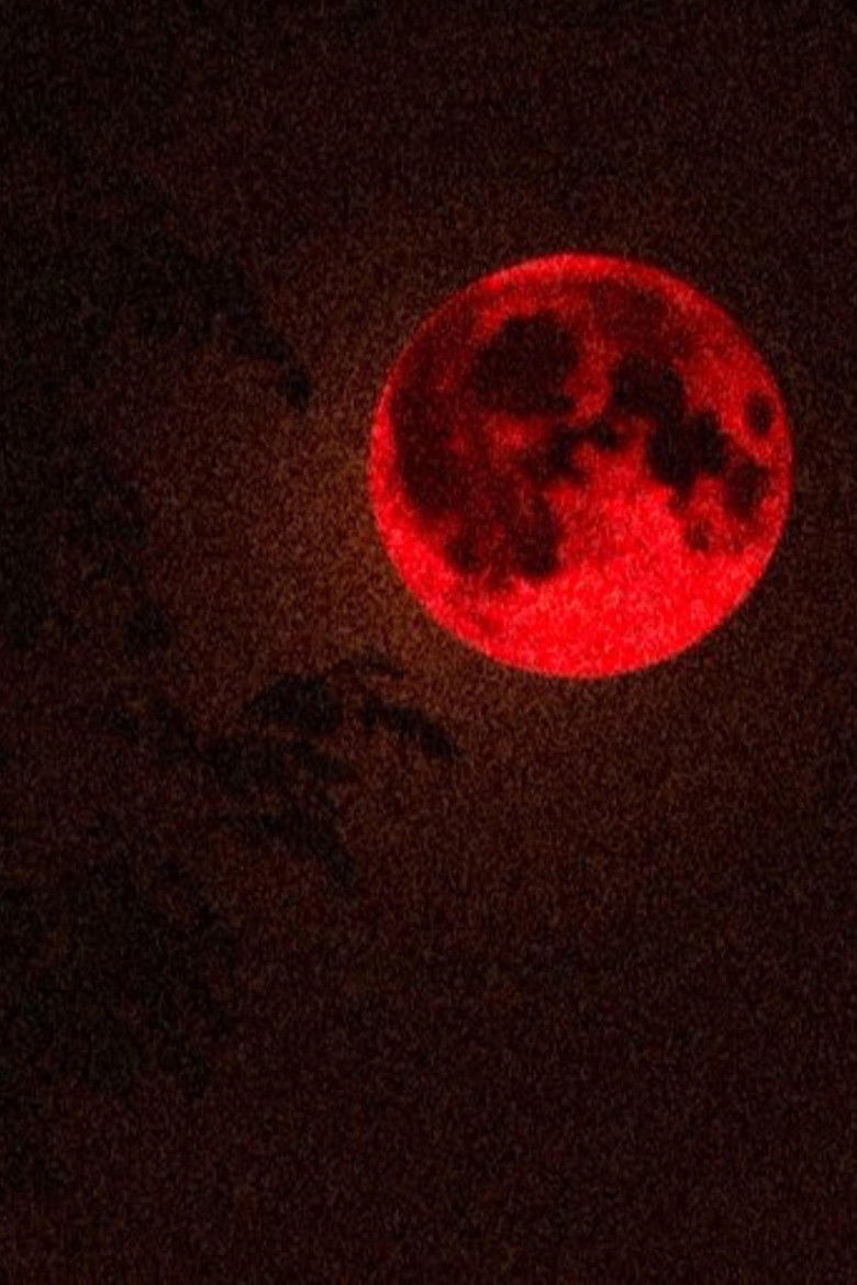 Imatge de Intoxicating Tides