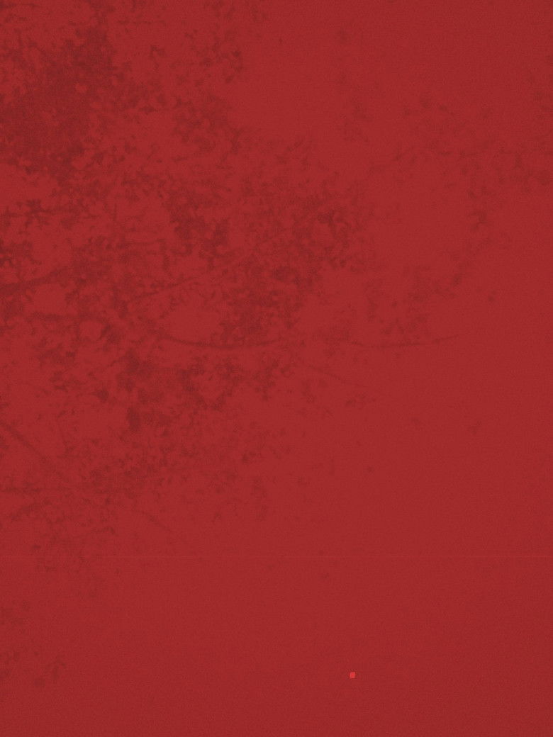 Imatge de (jetlag dream)