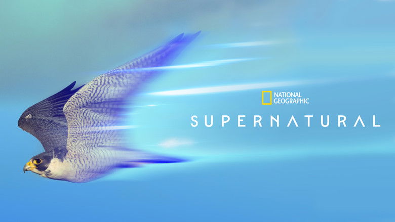 Gallery image from cNLrJLWOE2IHKrpgV7W1ioEHrhz.jpg