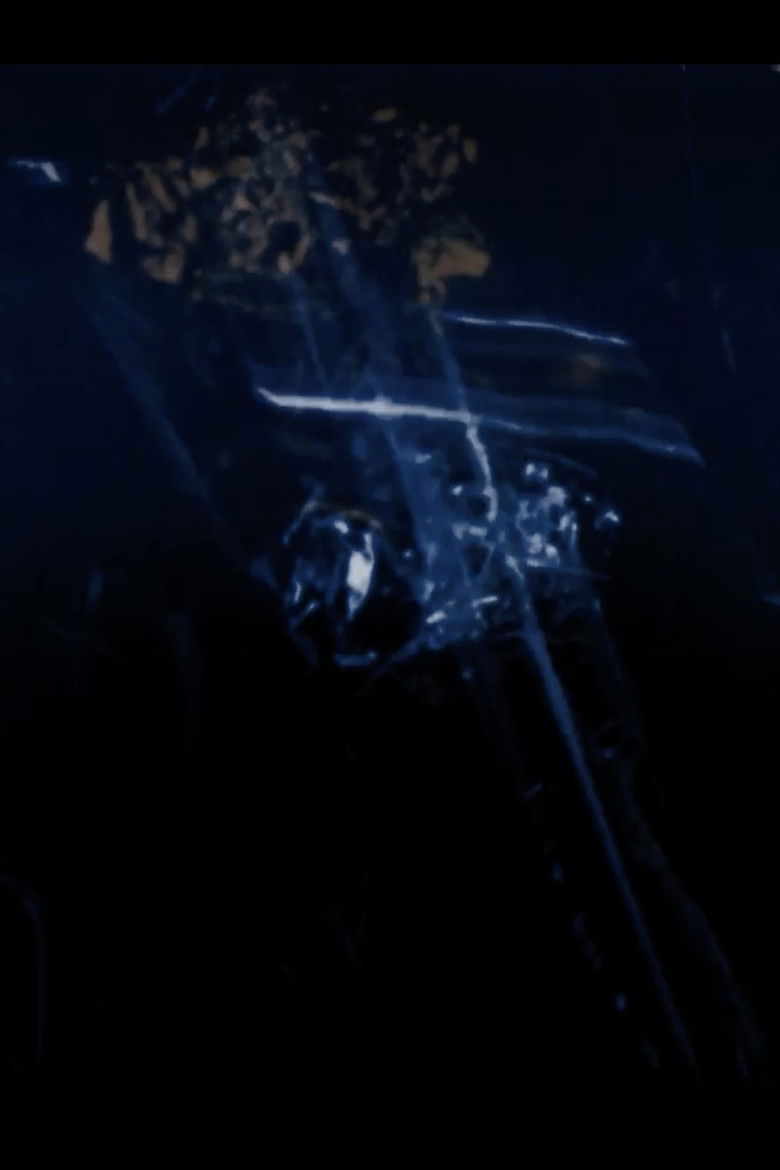 Imatge de blue in the key of 16mm