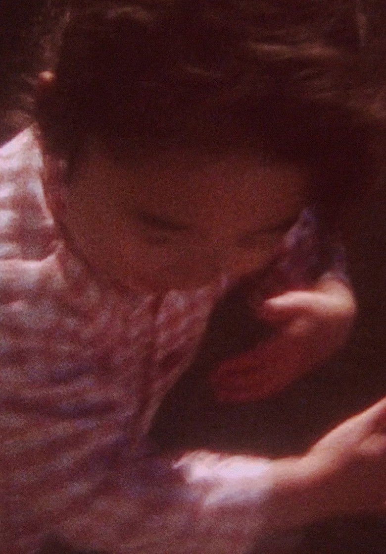 Imatge de それはとにかくまぶしい