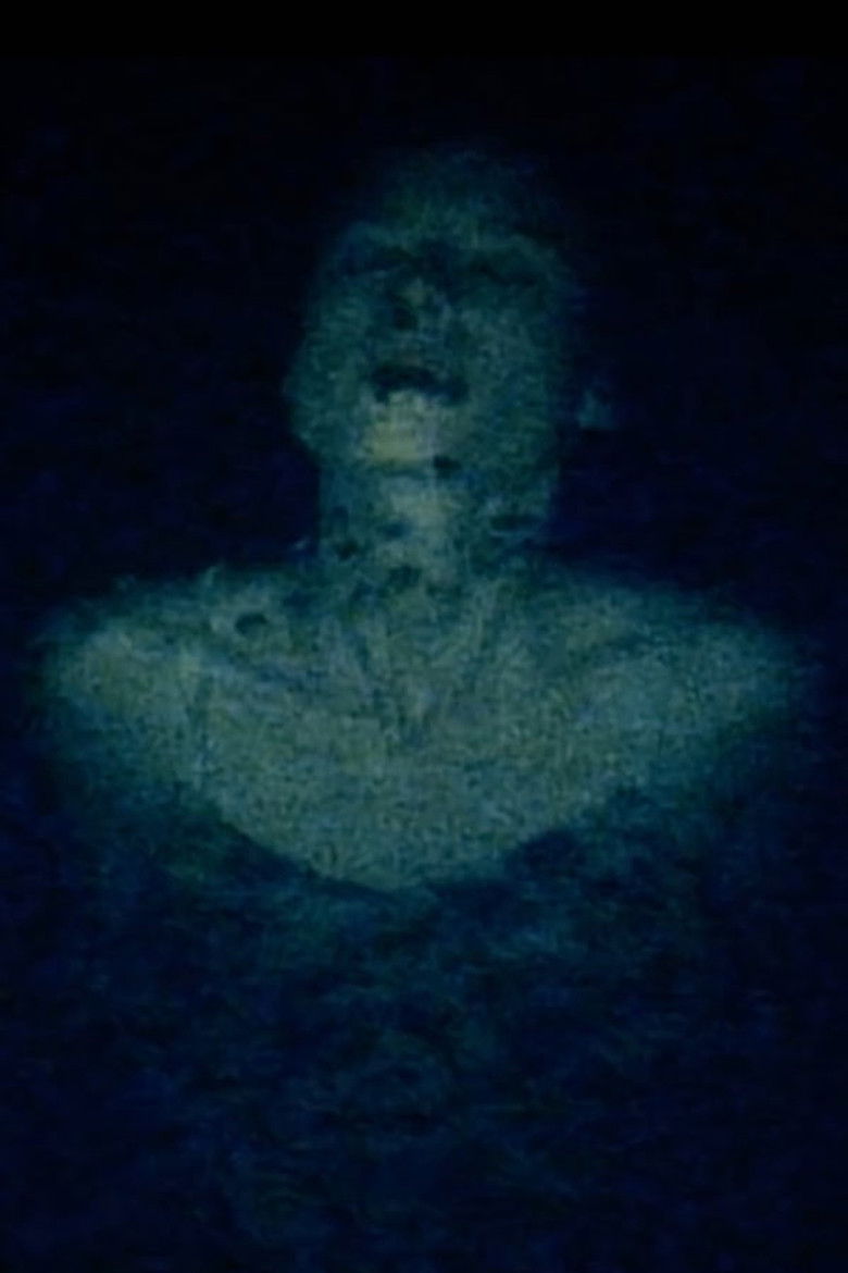 Imatge de Nightswimming