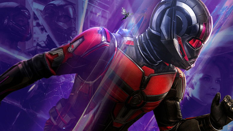 Backdrop de Ant-Man - Col·lecció