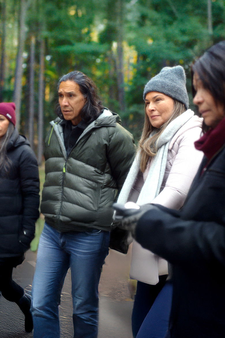 Imatge de Meadowlarks