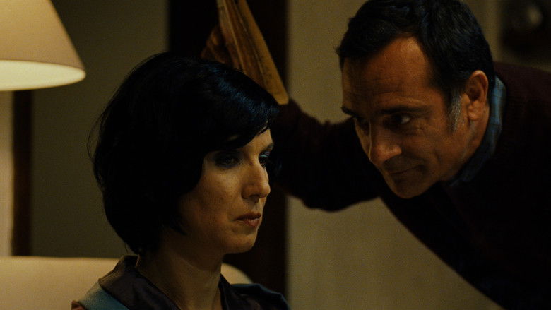 Gallery image from cPaBW5L4PuvvGj3M8YebrdZVabX.jpg