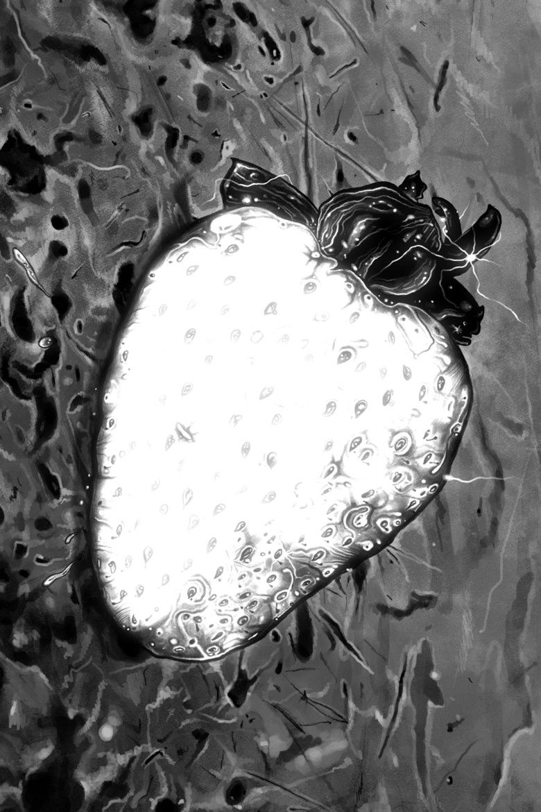 Photo de White Strawberry