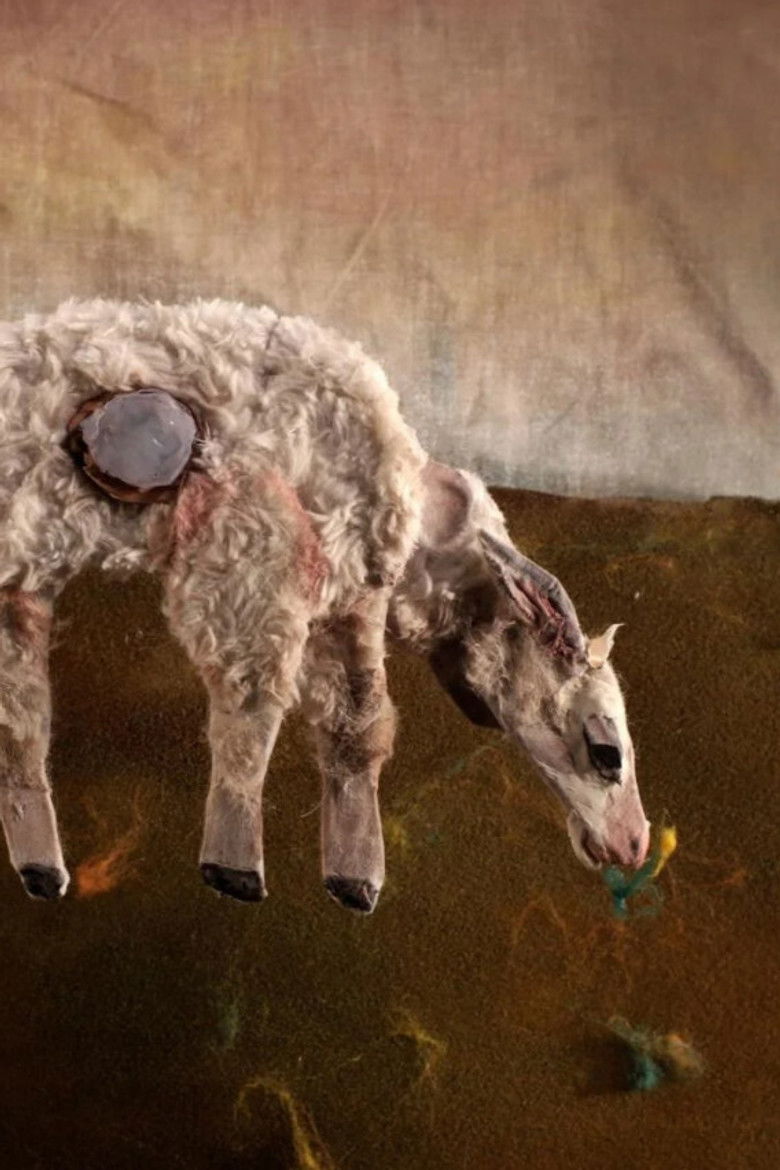 Imatge de Sheep Story