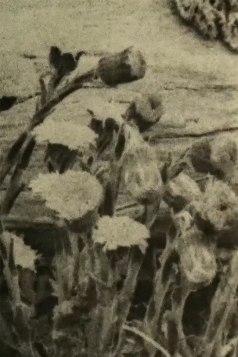 See Weeds background