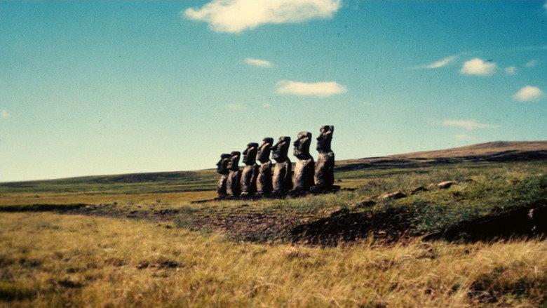 Film backdrop