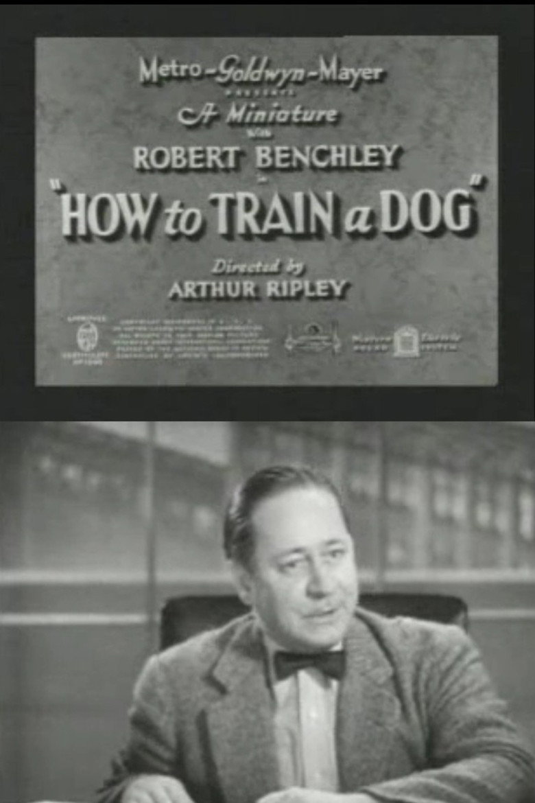 How to Train a Dog