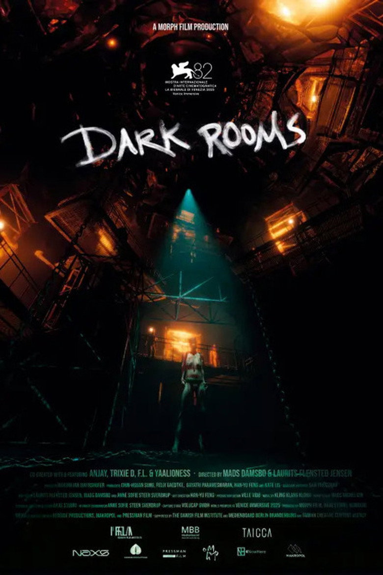 Affiche de DARK ROOMS