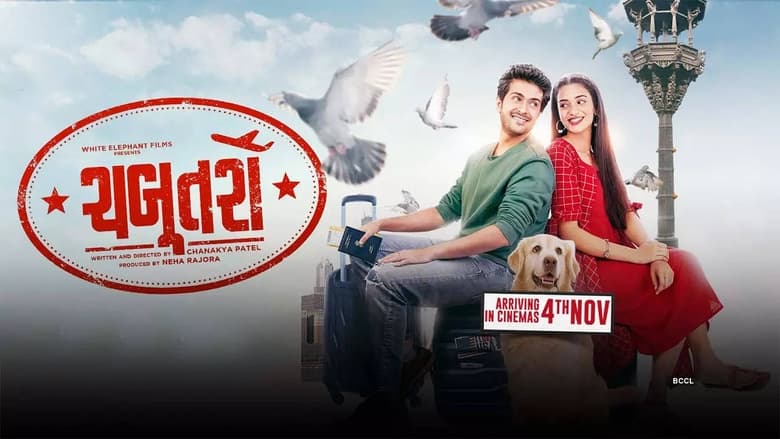 Chabutro 2022 Movie Download Dual Audio Hindi HQ Dub + Gujarati | WEBRip 1080p 720p 480p