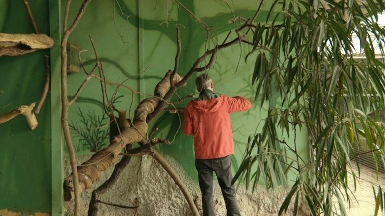 Gallery image from cRQxiqCu3IBCQD4z2UgPKWtlV7S.jpg