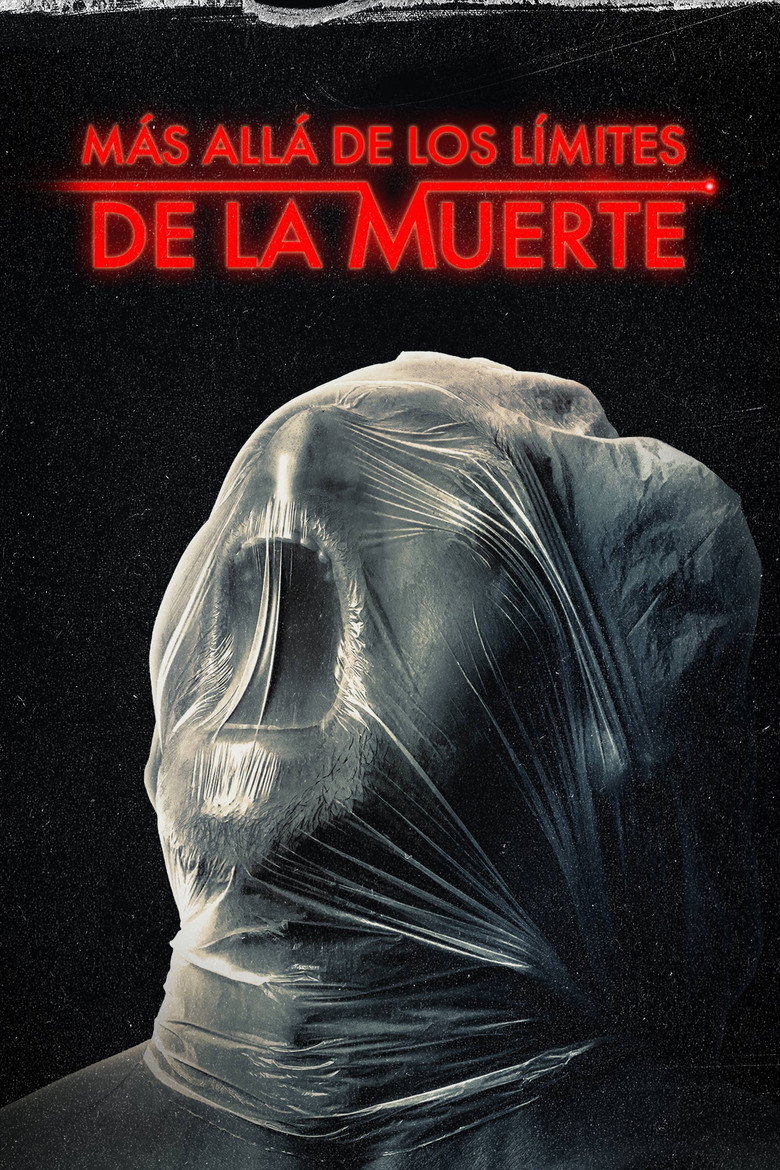 Póster la Película