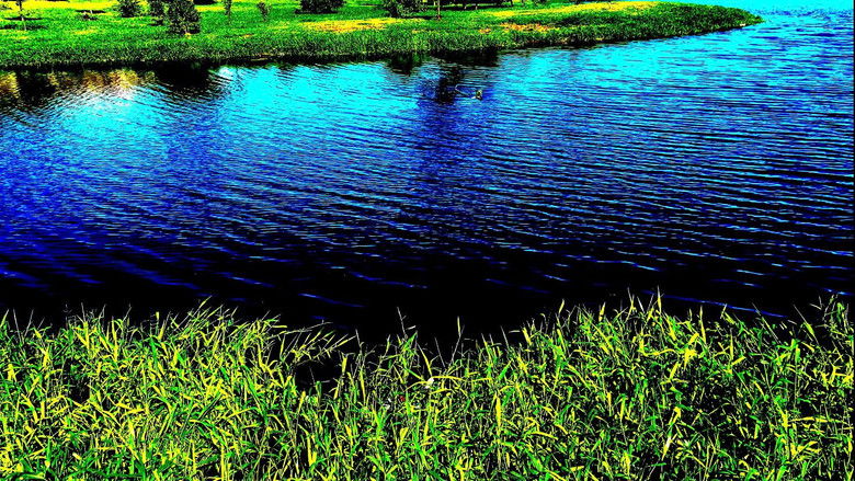 Gallery image from cRWBK4p0RVaBDsnqaL1ojobdv9o.jpg