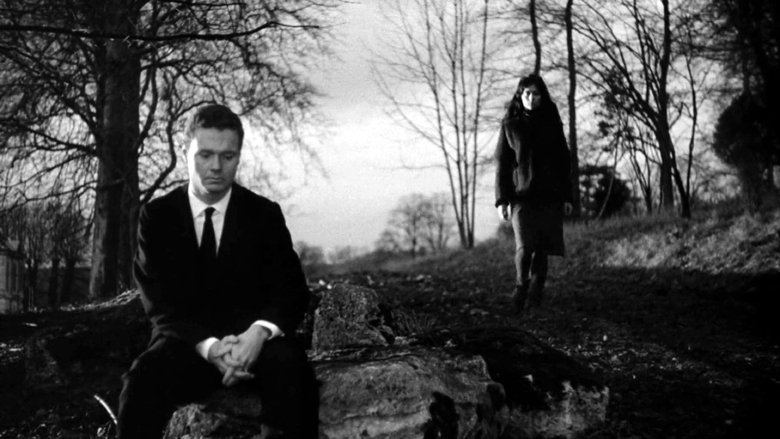 Gallery image from cRfI85yld6PiNels1OKW7NSx0i6.jpg