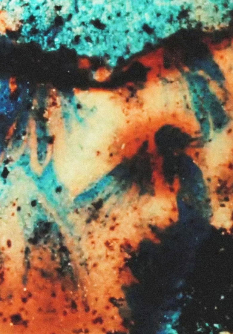 Imatge de Landfill 16