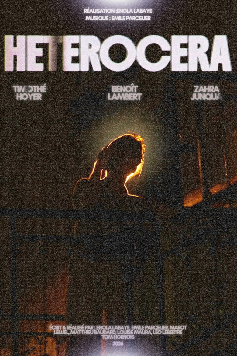Imatge de HETEROCERA
