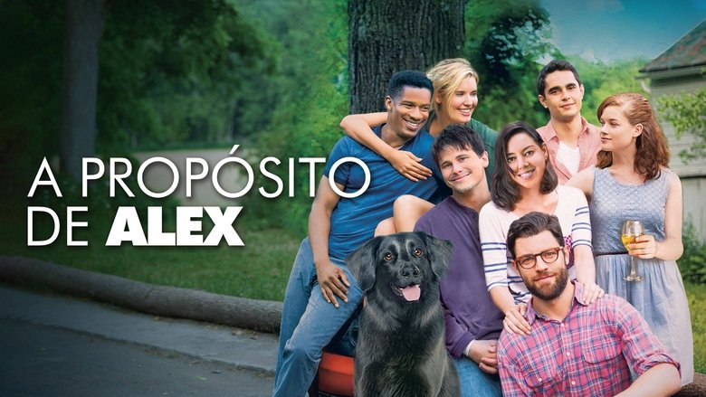 Gallery image from cSUk5LlrwSY8tj8n3wluasz7Lw7.jpg