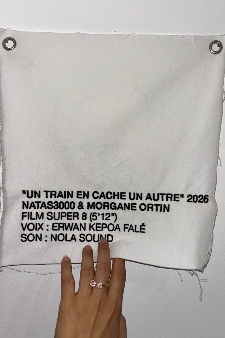 Imatge de Un Train en cache un autre