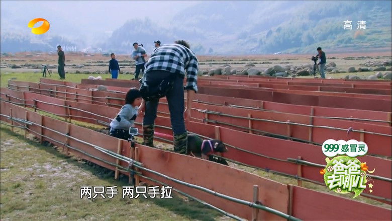 Still image for Where Are We Going, Dad? season 1 episode 10: Episode 10