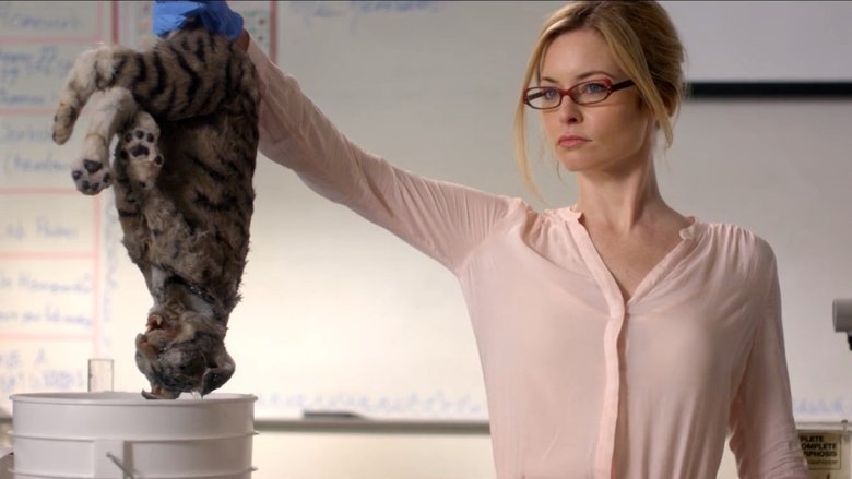 Gallery image from cUaB1M5sibxXwlMuile4crrJL83.jpg