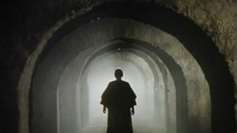 Gallery image from cV1NZf2vbphv86Zj3hxTgxNs17D.jpg