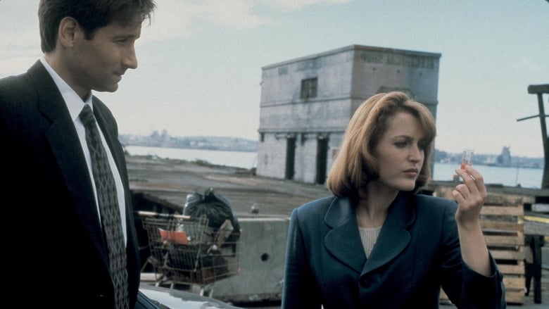 The X-Files S03E06 — 2Shy episode still
