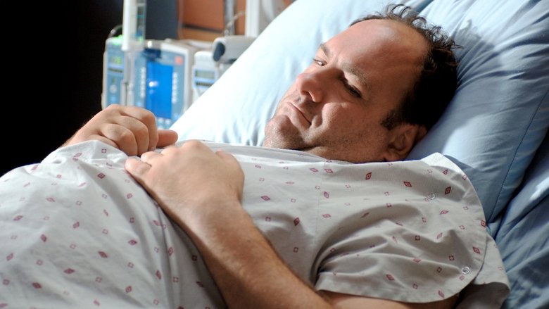 Watch The Sopranos Season 6 Episode 4 - The Fleshy Part of the Thigh