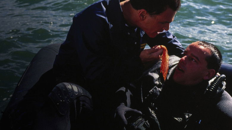 Imatge de Silver Strand